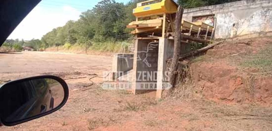Fazenda de Café à Venda 116 Hectares Oportunidade Única para Investidores | Alfenas/ MG