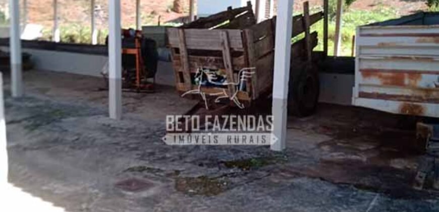 Fazenda de Café à Venda 116 Hectares Oportunidade Única para Investidores | Alfenas/ MG