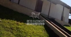 Fazenda de Café à Venda 116 Hectares Oportunidade Única para Investidores | Alfenas/ MG