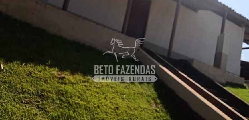 Fazenda de Café à Venda 116 Hectares Oportunidade Única para Investidores | Alfenas/ MG