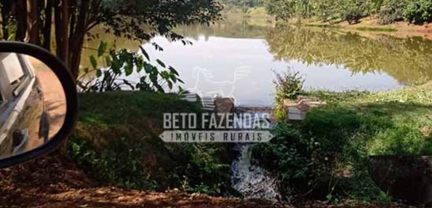 Fazenda de Café à Venda 116 Hectares Oportunidade Única para Investidores | Alfenas/ MG