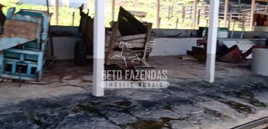 Fazenda de Café à Venda 116 Hectares Oportunidade Única para Investidores | Alfenas/ MG