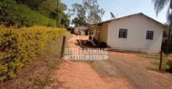 Fazenda de Café à Venda 116 Hectares Oportunidade Única para Investidores | Alfenas/ MG