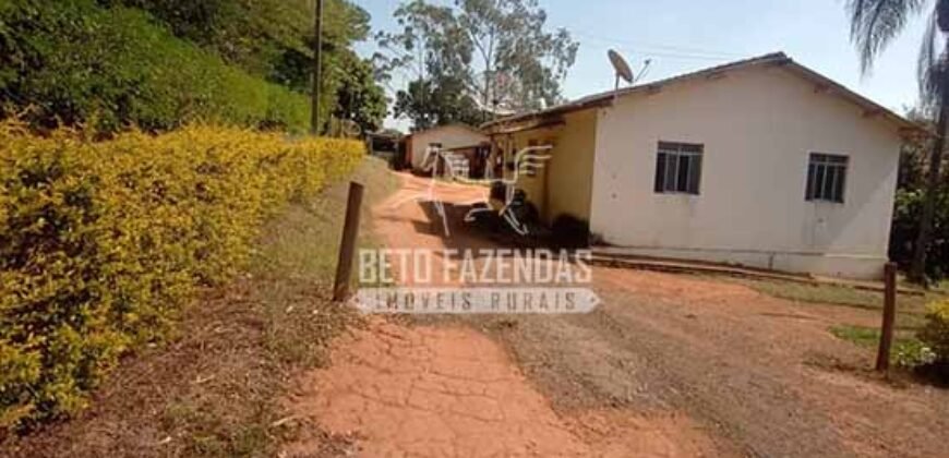 Fazenda de Café à Venda 116 Hectares Oportunidade Única para Investidores | Alfenas/ MG