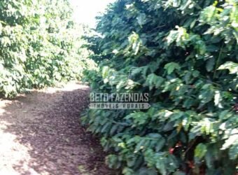 Fazenda de Café à Venda 116 Hectares Oportunidade Única para Investidores | Alfenas/ MG