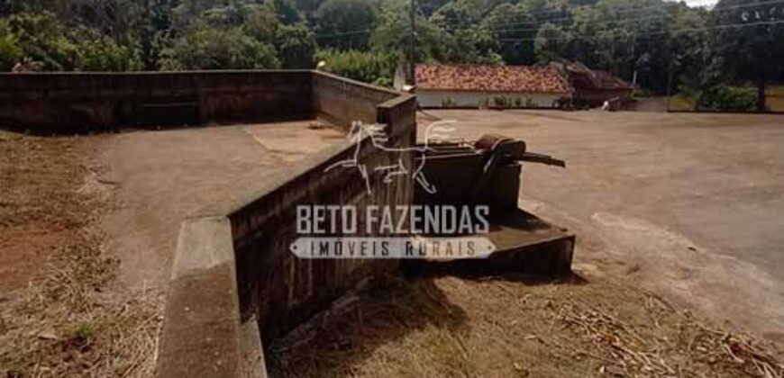 Fazenda de Café à Venda 116 Hectares Oportunidade Única para Investidores | Alfenas/ MG