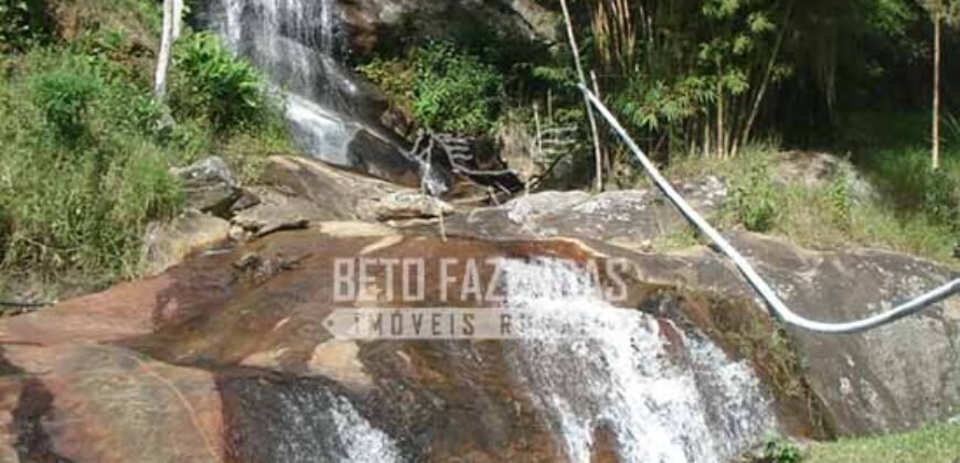 Fazenda Pecuária, Turismo e Mineral à Venda 125 has Ótimo Investimento | Angra dos Reis/RJ!
