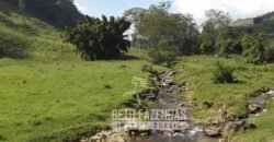 Fazenda Pecuária, Turismo e Mineral à Venda 125 has Ótimo Investimento | Angra dos Reis/RJ!