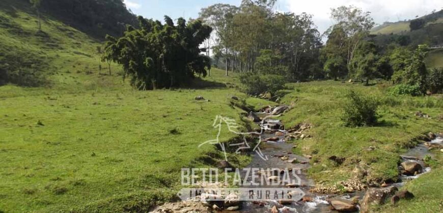 Fazenda Pecuária, Turismo e Mineral à Venda 125 has Ótimo Investimento | Angra dos Reis/RJ!