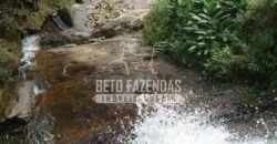 Fazenda Pecuária, Turismo e Mineral à Venda 125 has Ótimo Investimento | Angra dos Reis/RJ!