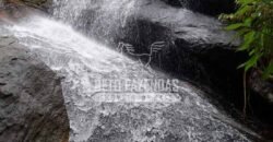 Fazenda Pecuária, Turismo e Mineral à Venda 125 has Ótimo Investimento | Angra dos Reis/RJ!