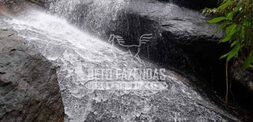 Fazenda Pecuária, Turismo e Mineral à Venda 125 has Ótimo Investimento | Angra dos Reis/RJ!