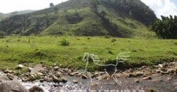 Fazenda Pecuária, Turismo e Mineral à Venda 125 has Ótimo Investimento | Angra dos Reis/RJ!