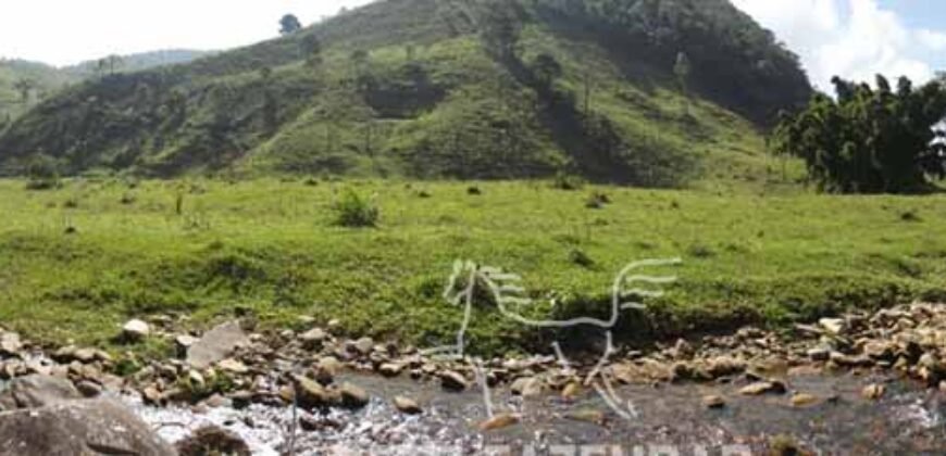 Fazenda Pecuária, Turismo e Mineral à Venda 125 has Ótimo Investimento | Angra dos Reis/RJ!