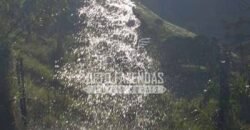 Fazenda Pecuária, Turismo e Mineral à Venda 125 has Ótimo Investimento | Angra dos Reis/RJ!