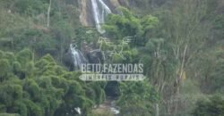 Fazenda Pecuária, Turismo e Mineral à Venda 125 has Ótimo Investimento | Angra dos Reis/RJ!