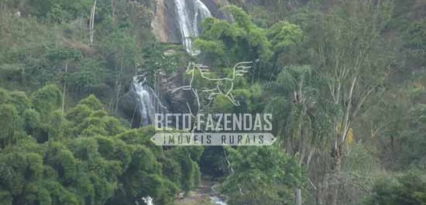 Fazenda Pecuária, Turismo e Mineral à Venda 125 has Ótimo Investimento | Angra dos Reis/RJ!