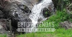 Fazenda Pecuária, Turismo e Mineral à Venda 125 has Ótimo Investimento | Angra dos Reis/RJ!