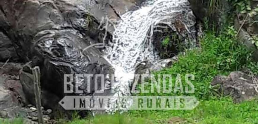 Fazenda Pecuária, Turismo e Mineral à Venda 125 has Ótimo Investimento | Angra dos Reis/RJ!