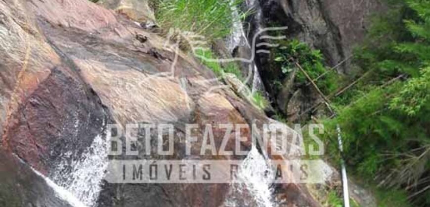 Fazenda Pecuária, Turismo e Mineral à Venda 125 has Ótimo Investimento | Angra dos Reis/RJ!