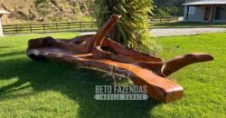 Linda Fazenda 125 Hectares Investimento no Lazer, Turismo e Haras | Silva Jardim/ RJ Linda Fazenda 125 Hectares Investimento no Lazer, Turismo e Haras | Silva Jardim/ RJ