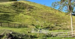 Linda Fazenda 125 Hectares Investimento no Lazer, Turismo e Haras | Silva Jardim/ RJ Linda Fazenda 125 Hectares Investimento no Lazer, Turismo e Haras | Silva Jardim/ RJ