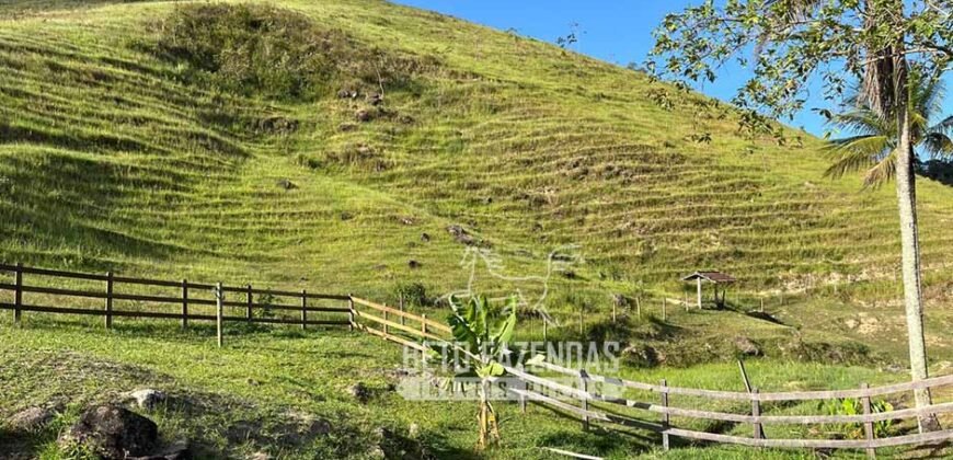 Linda Fazenda 125 Hectares Investimento no Lazer, Turismo e Haras | Silva Jardim/ RJ Linda Fazenda 125 Hectares Investimento no Lazer, Turismo e Haras | Silva Jardim/ RJ