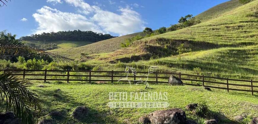 Linda Fazenda 125 Hectares Investimento no Lazer, Turismo e Haras | Silva Jardim/ RJ Linda Fazenda 125 Hectares Investimento no Lazer, Turismo e Haras | Silva Jardim/ RJ