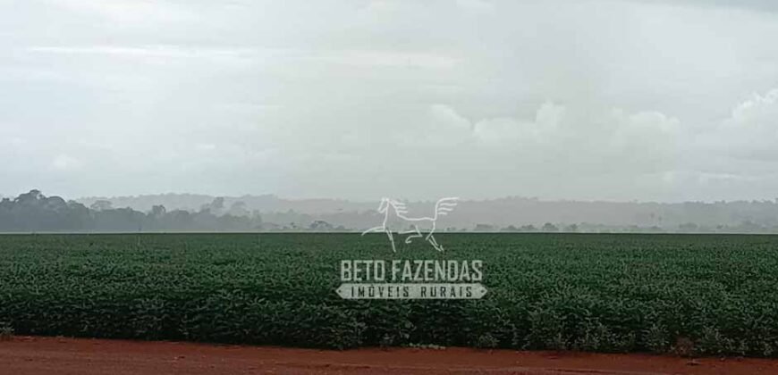 Fazenda à Venda 1.210 Has Dupla Aptidão Imperdível para Investidores | Colider/MT Fazenda à Venda 1.210 Has Dupla Aptidão Imperdível para Investidores | Colider/MT