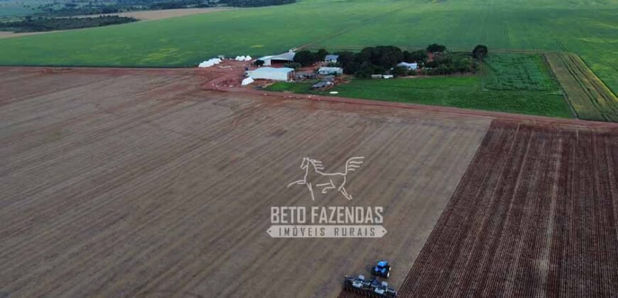 Fazenda à Venda 1.210 Has Dupla Aptidão Imperdível para Investidores | Colider/MT Fazenda à Venda 1.210 Has Dupla Aptidão Imperdível para Investidores | Colider/MT