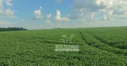 Fazenda à Venda 1.210 Has Dupla Aptidão Imperdível para Investidores | Colider/MT Fazenda à Venda 1.210 Has Dupla Aptidão Imperdível para Investidores | Colider/MT