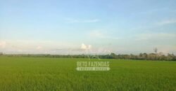 Fazenda à Venda 1.210 Has Dupla Aptidão Imperdível para Investidores | Colider/MT Fazenda à Venda 1.210 Has Dupla Aptidão Imperdível para Investidores | Colider/MT