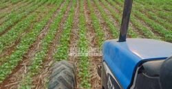 Fazenda à Venda 1.210 Has Dupla Aptidão Imperdível para Investidores | Colider/MT Fazenda à Venda 1.210 Has Dupla Aptidão Imperdível para Investidores | Colider/MT