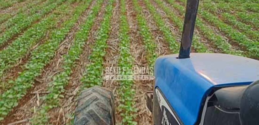 Fazenda à Venda 1.210 Has Dupla Aptidão Imperdível para Investidores | Colider/MT Fazenda à Venda 1.210 Has Dupla Aptidão Imperdível para Investidores | Colider/MT