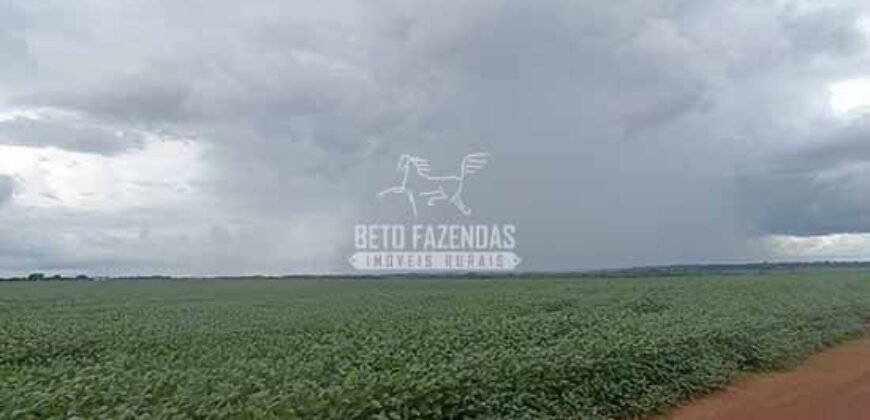 Fazenda à Venda 1.210 Has Dupla Aptidão Imperdível para Investidores | Colider/MT Fazenda à Venda 1.210 Has Dupla Aptidão Imperdível para Investidores | Colider/MT