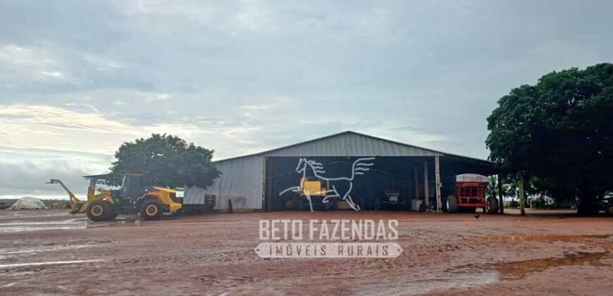 Fazenda à Venda 1.210 Has Dupla Aptidão Imperdível para Investidores | Colider/MT Fazenda à Venda 1.210 Has Dupla Aptidão Imperdível para Investidores | Colider/MT