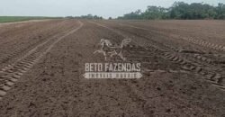 Fazenda à Venda 1.210 Has Dupla Aptidão Imperdível para Investidores | Colider/MT Fazenda à Venda 1.210 Has Dupla Aptidão Imperdível para Investidores | Colider/MT
