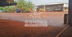 Fazenda à Venda 1.210 Has Dupla Aptidão Imperdível para Investidores | Colider/MT Fazenda à Venda 1.210 Has Dupla Aptidão Imperdível para Investidores | Colider/MT
