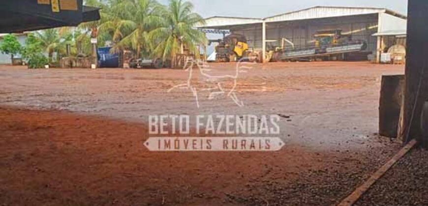 Fazenda à Venda 1.210 Has Dupla Aptidão Imperdível para Investidores | Colider/MT Fazenda à Venda 1.210 Has Dupla Aptidão Imperdível para Investidores | Colider/MT