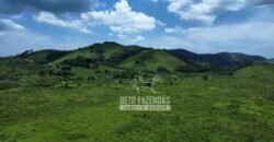 Fazenda com Potencial 300 hectares Ideal para pecuária | Silva Jardim/ RJ