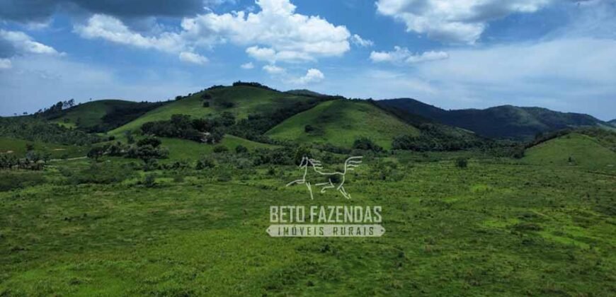 Fazenda com Potencial 300 hectares Ideal para pecuária | Silva Jardim/ RJ