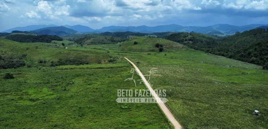 Fazenda com Potencial 300 hectares Ideal para pecuária | Silva Jardim/ RJ