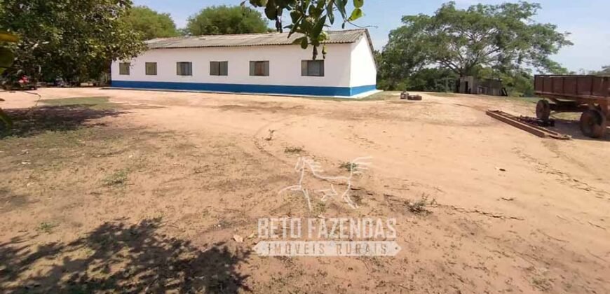 Fazenda 83.400 hectares Pecuária No Coração do Brasil | São Félix do Araguaia/MT