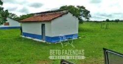 Fazenda 83.400 hectares Pecuária No Coração do Brasil | São Félix do Araguaia/MT