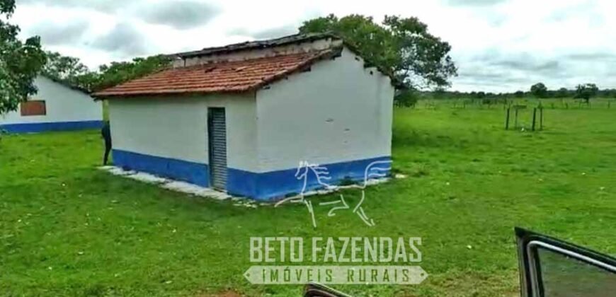 Fazenda 83.400 hectares Pecuária No Coração do Brasil | São Félix do Araguaia/MT