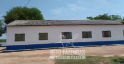 Fazenda 83.400 hectares Pecuária No Coração do Brasil | São Félix do Araguaia/MT