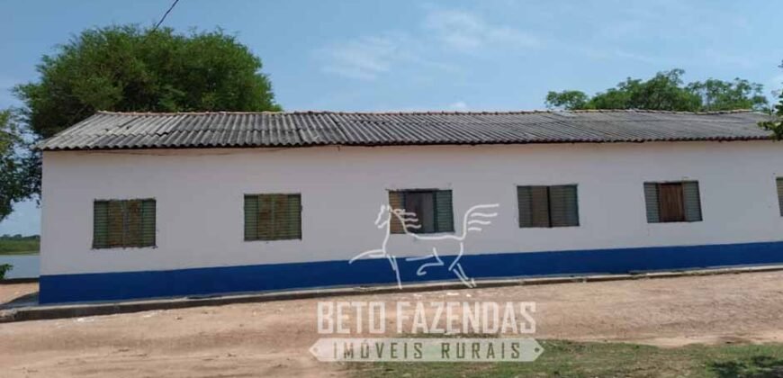 Fazenda 83.400 hectares Pecuária No Coração do Brasil | São Félix do Araguaia/MT