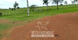 Fazenda 83.400 hectares Pecuária No Coração do Brasil | São Félix do Araguaia/MT