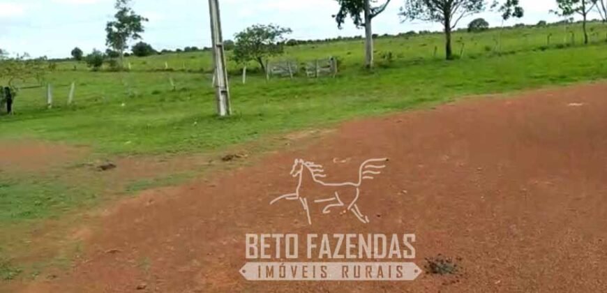Fazenda 83.400 hectares Pecuária No Coração do Brasil | São Félix do Araguaia/MT