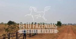 Fazenda 83.400 hectares Pecuária No Coração do Brasil | São Félix do Araguaia/MT